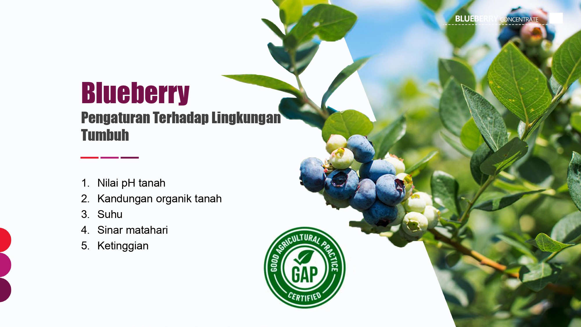 Education content image